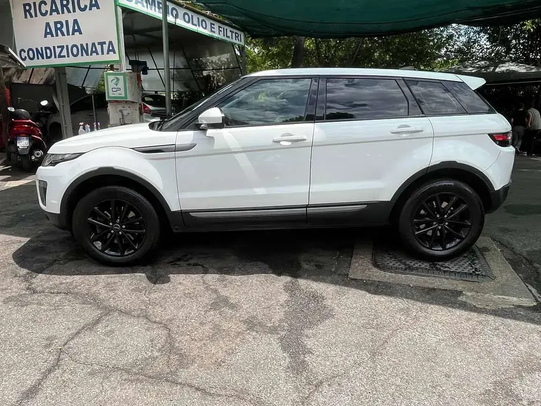 Usata Land Rover Range Rover evoque Pure 150 CV (110 kW) 2017 Bianco SUV