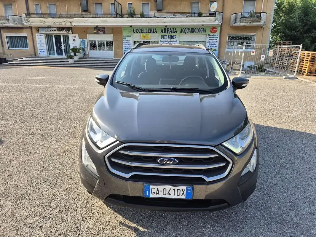 Usata Ford Ecosport Business Edition 99 CV (72 kW) 2020 SUV