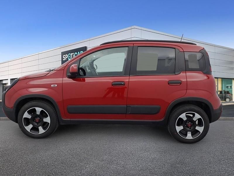 Usata Fiat Panda Cross Cross 69 CV (50 kW) 2024 Rosso Utilitaria