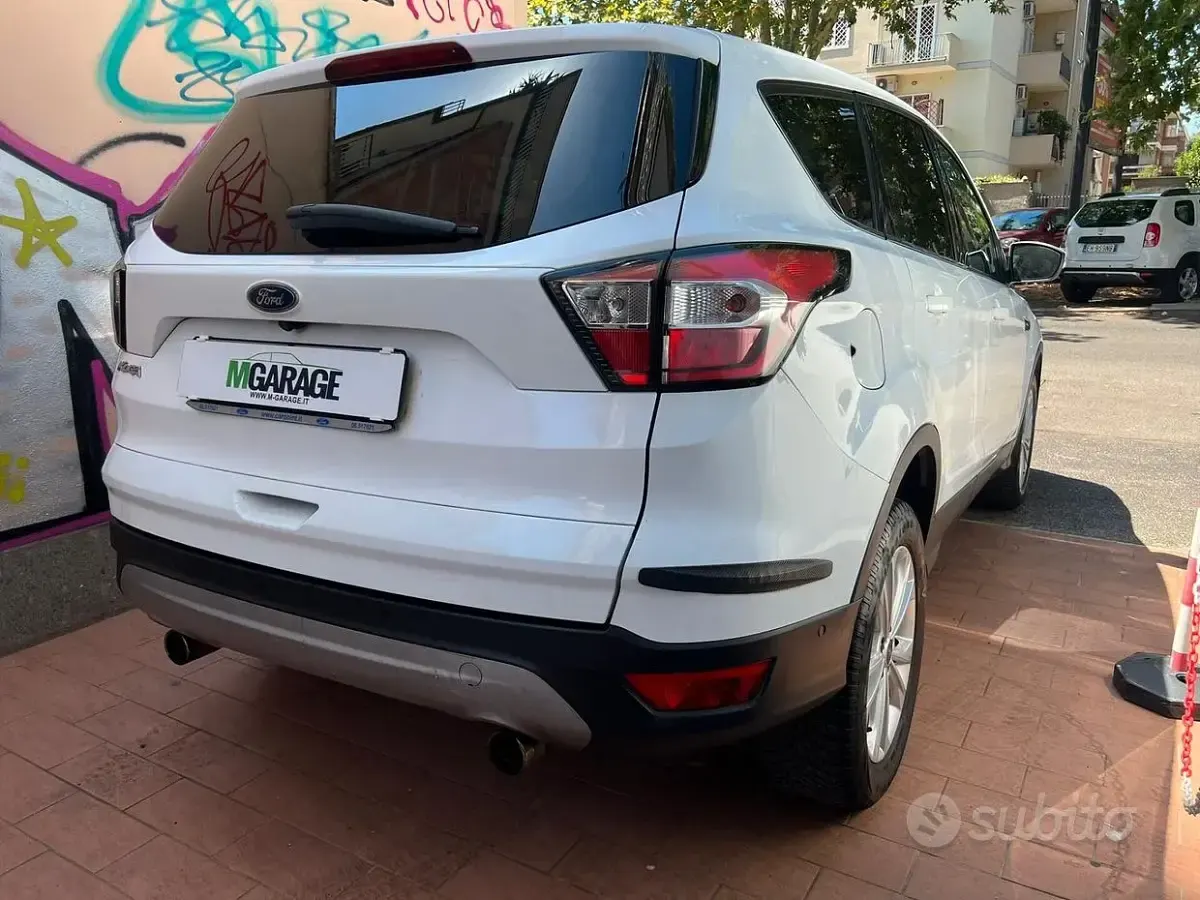 Usata Ford Kuga Titanium 120 CV (88 kW) 2019 Bianco SUV