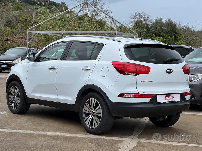 Usata Kia Sportage 115 CV (84 kW) 2014 Bianco SUV