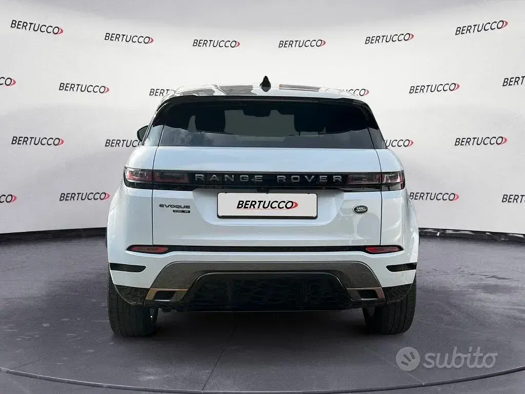 Usata Land Rover Range Rover evoque SE Dynamic 179 CV (131 kW) 2019 Bianco SUV