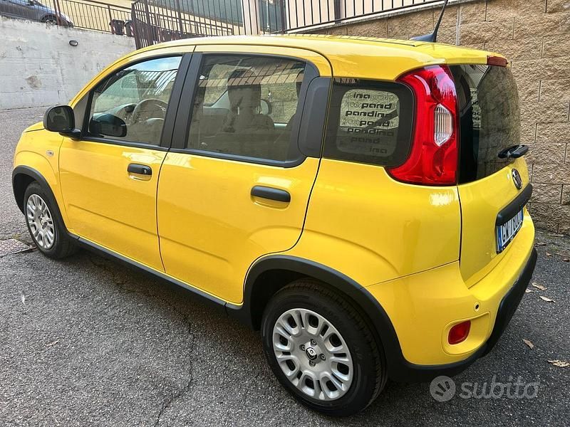 Usata Fiat Panda 2024 Giallo Berlina