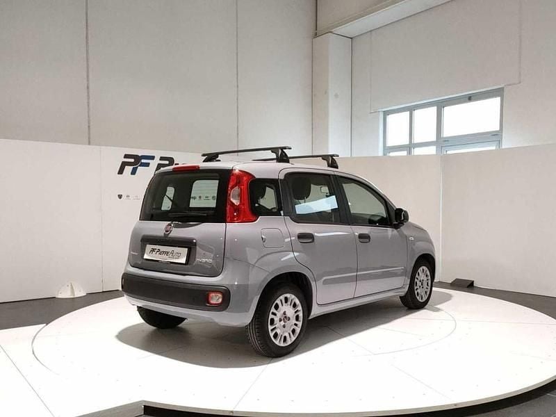 Usata Fiat Panda S 70 CV (51 kW) 2021 Grigio Utilitaria