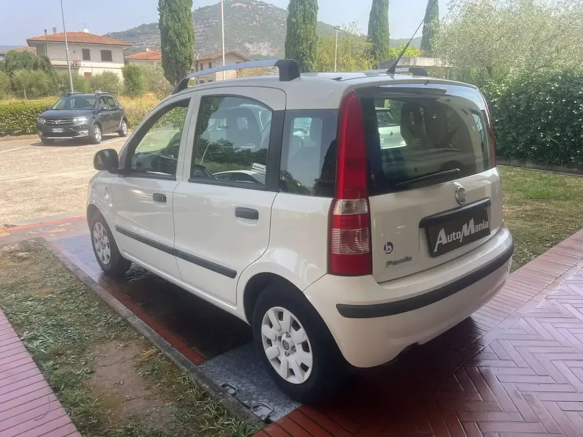 Usata Fiat Panda Dynamic 69 CV (50 kW) 2011 Bianco Utilitaria