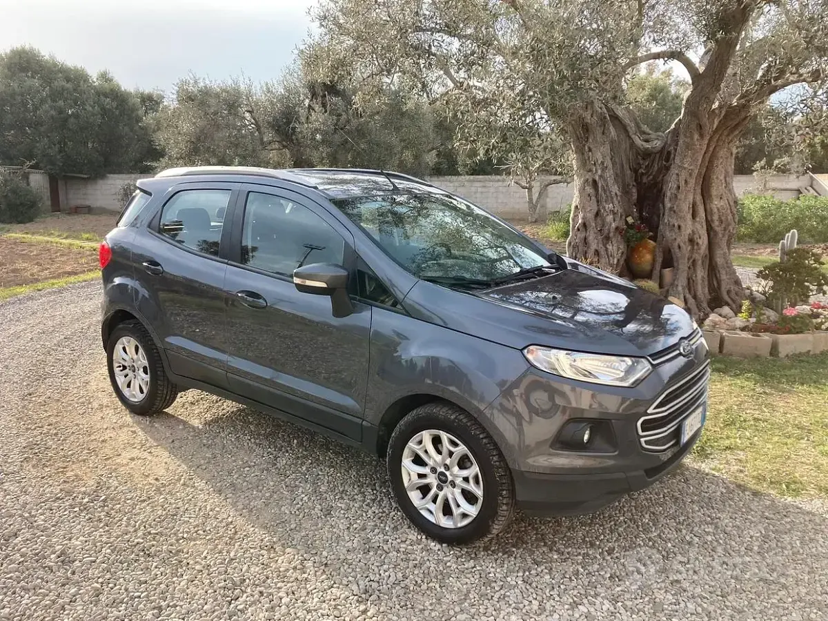Usata Ford Ecosport 95 CV (69 kW) 2017 SUV
