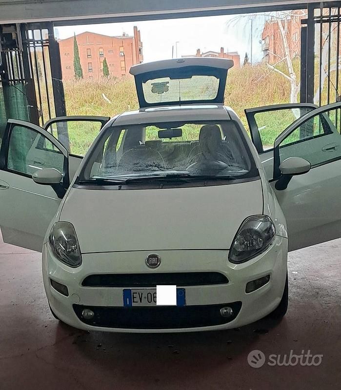 Usata Fiat Punto Evo 75 CV (55 kW) 2014 Bianco Utilitaria