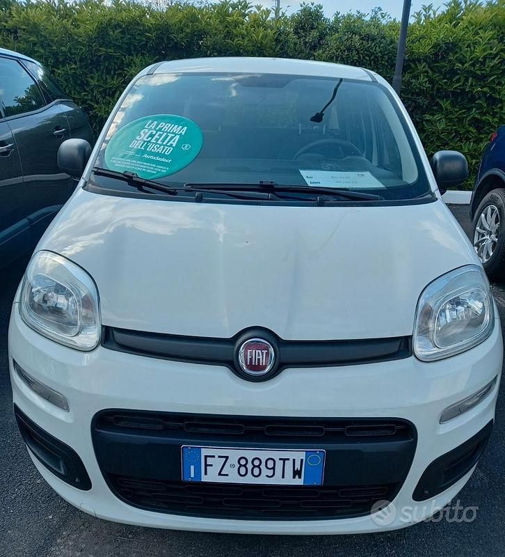 Usata Fiat Panda 69 CV (50 kW) 2019 Bianco Utilitaria