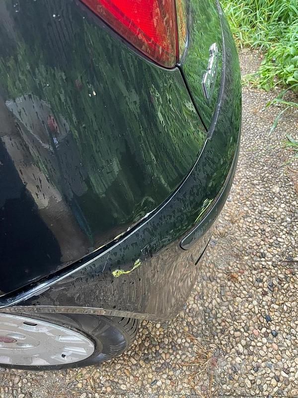 Usata Fiat Punto 80 CV (58 kW) 2009 Nero Utilitaria