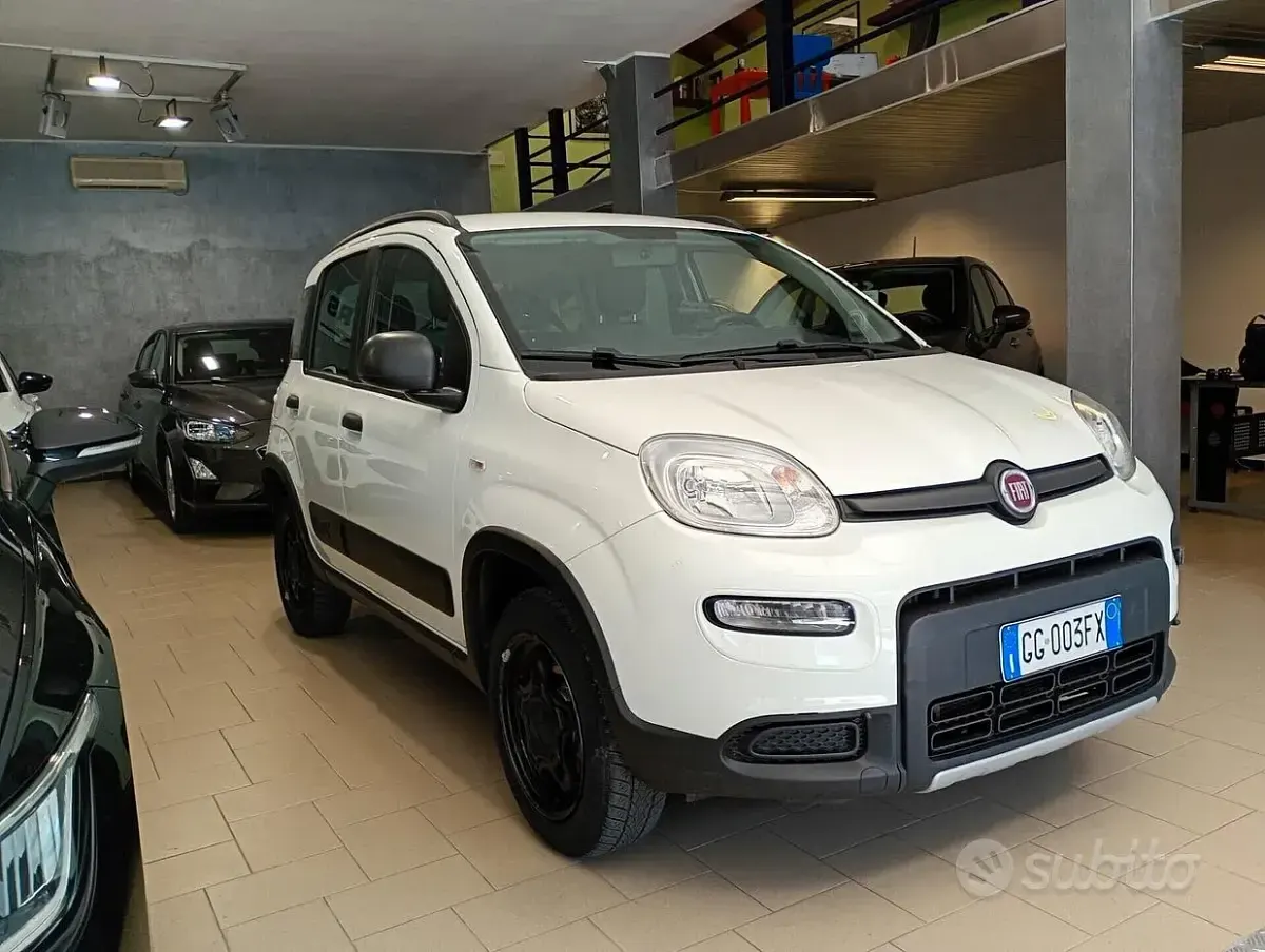 Usata Fiat Panda 4x4 Wild 85 CV (62 kW) 2021 Bianco Utilitaria