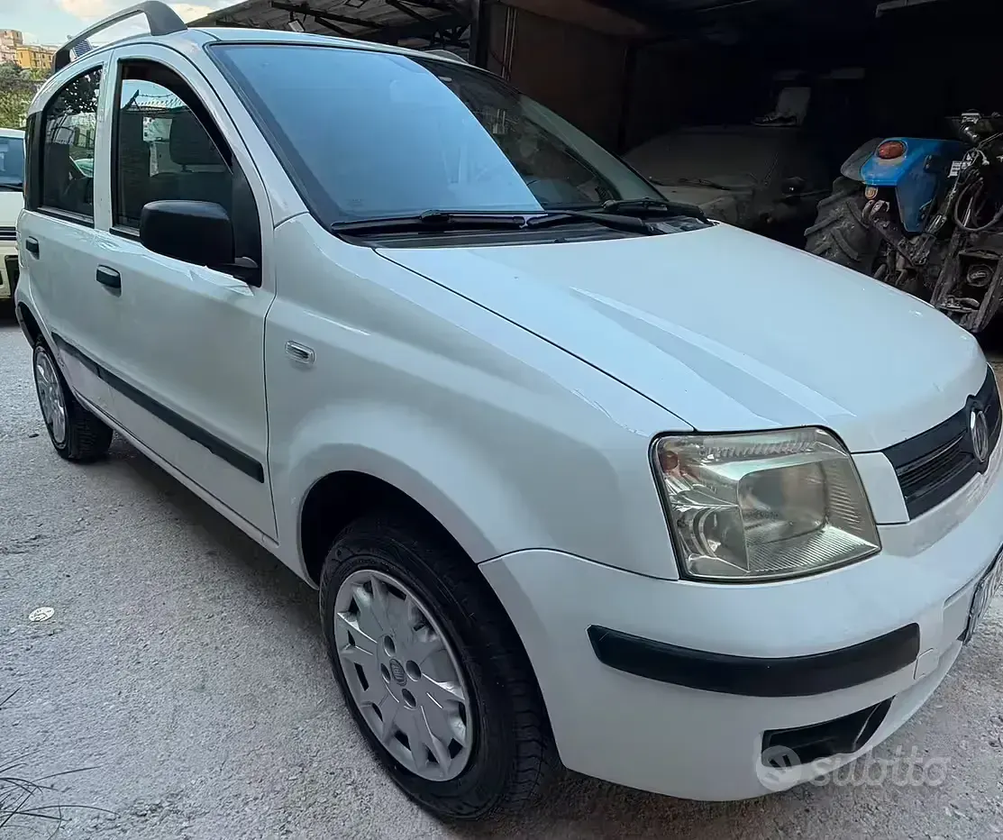 Usata Fiat Panda 77 CV (56 kW) 2009 Bianco Utilitaria