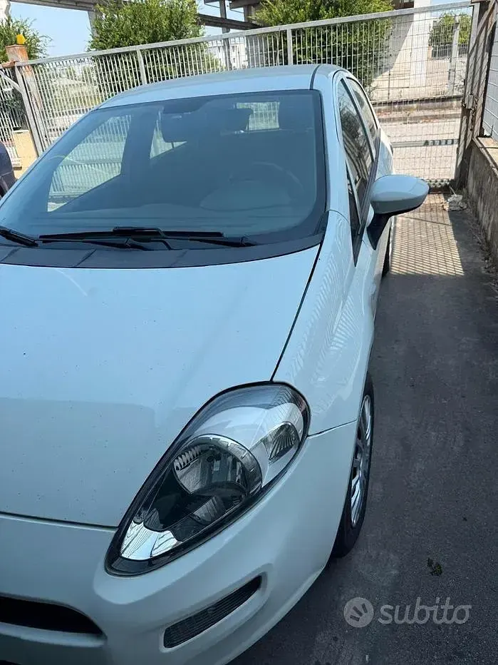 Usata Fiat Punto 69 CV (50 kW) 2016 Bianco Utilitaria