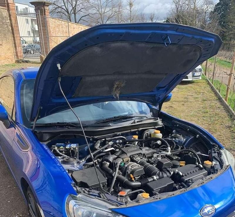 Usado Subaru BRZ 200 CV (147 kW) 2012 Azul Coupe