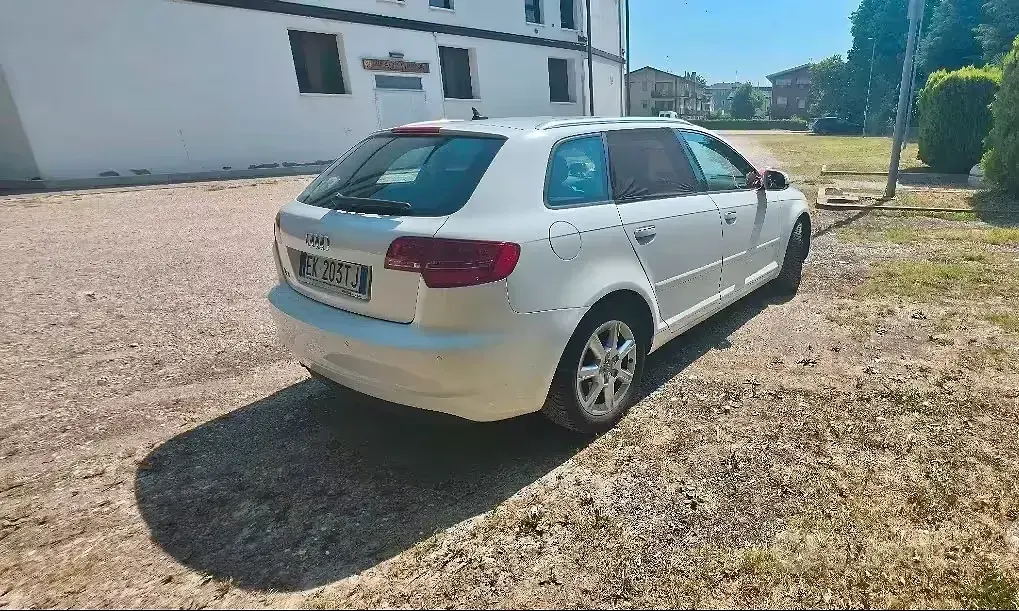 Usata Audi A3 105 CV (77 kW) 2011 Bianco Utilitaria