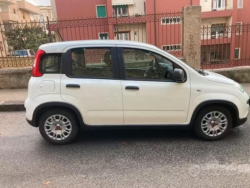 Usata Fiat Panda City Life 69 CV (50 kW) 2023 Bianco Utilitaria