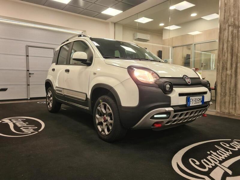 Usato 2019 Fiat Panda 4x4 0.9 LPG_Hybrid 69 CV (17.500 €)