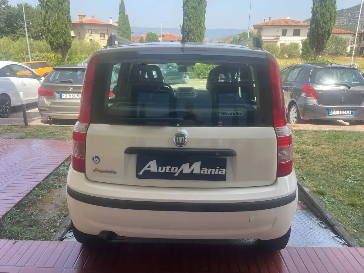 Usata Fiat Panda Dynamic 69 CV (50 kW) 2011 Bianco Utilitaria