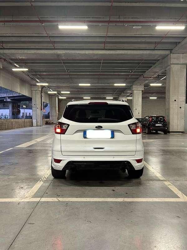 Usata Ford Kuga ST-Line 120 CV (88 kW) 2019 Bianco SUV