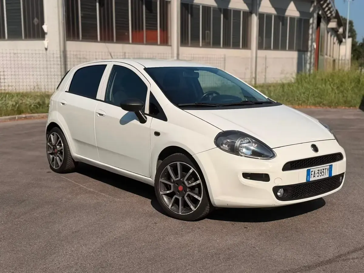Usata Fiat Punto Lounge 75 CV (55 kW) 2015 Bianco Utilitaria