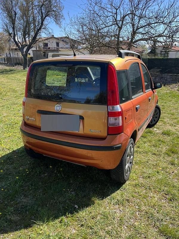 Usata Fiat Panda 77 CV (56 kW) 2009 Utilitaria