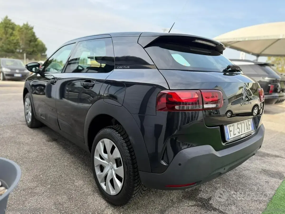 Usata Citroën C4 Cactus Feel 102 CV (75 kW) 2019 Utilitaria