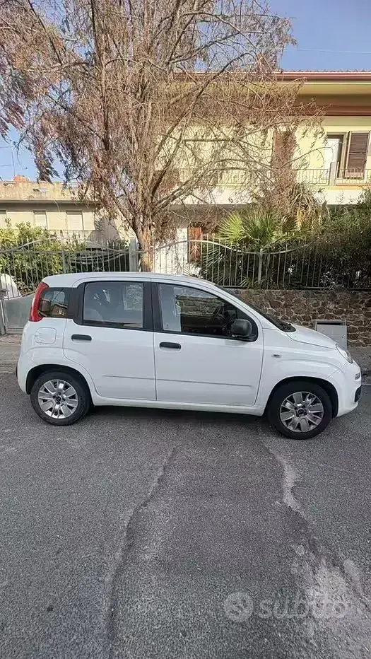 Usata Fiat Panda 69 CV (50 kW) 2016 Bianco Utilitaria