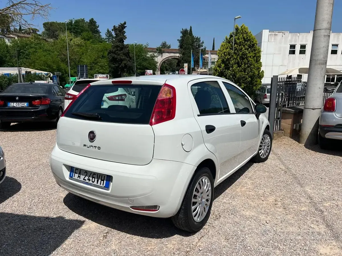 Usata Fiat Punto Lounge 75 CV (55 kW) 2015 Bianco Utilitaria