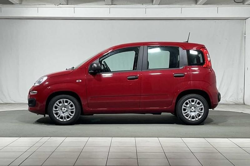 Usata Fiat Panda Easy 69 CV (50 kW) 2020 Grigio Utilitaria