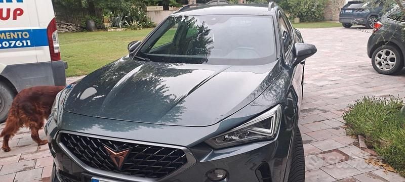 Usata Cupra Formentor 150 CV (110 kW) 2021 Verde SUV