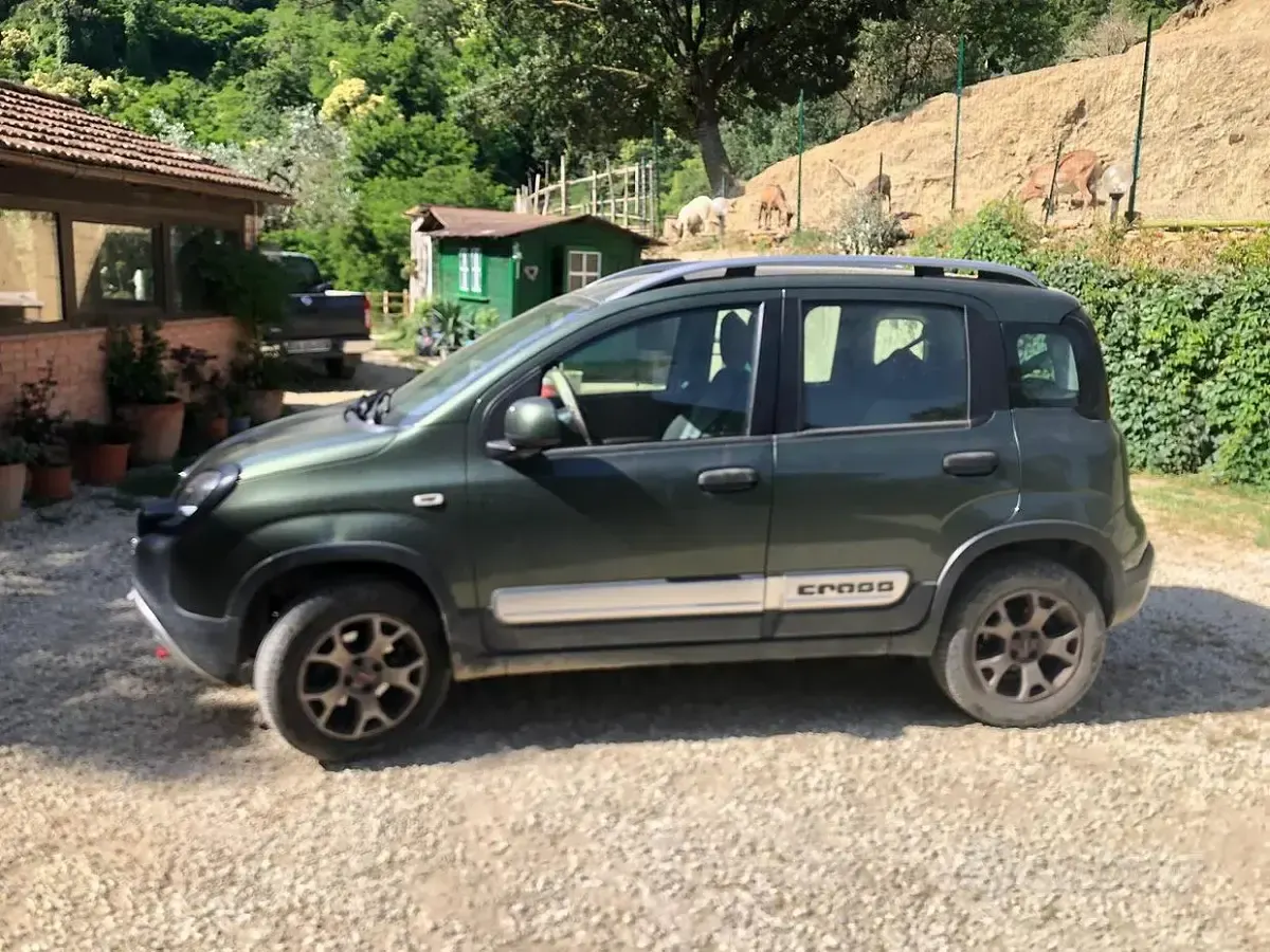Usata Fiat Panda Cross Cross 90 CV (66 kW) 2015 Verde Utilitaria