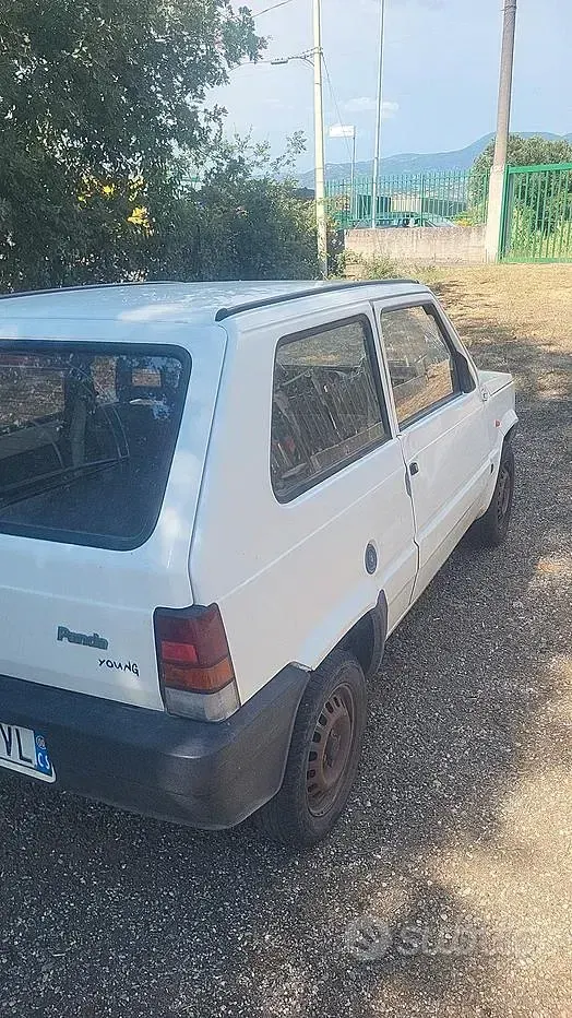 Usata Fiat Panda Young 39 CV (28 kW) 1998 Bianco Utilitaria