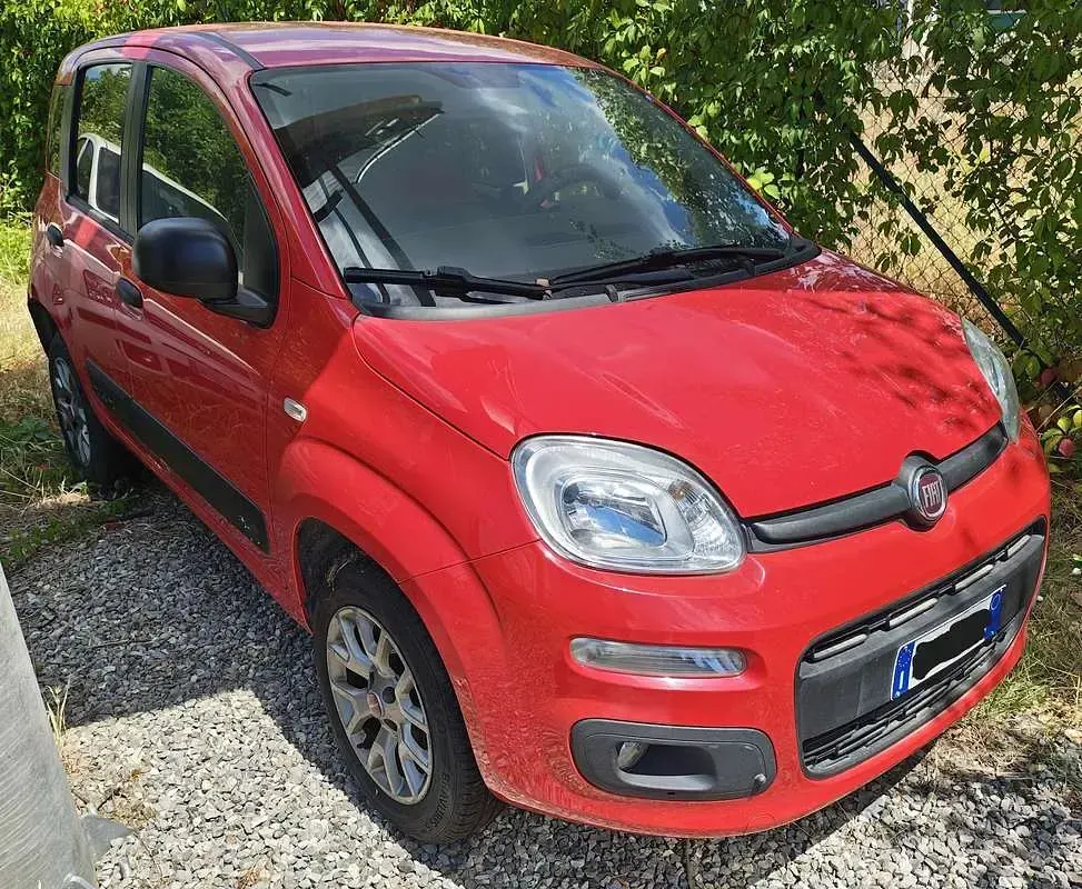 Usata Fiat Panda 4x4 S 80 CV (58 kW) 2017 Rosso Utilitaria