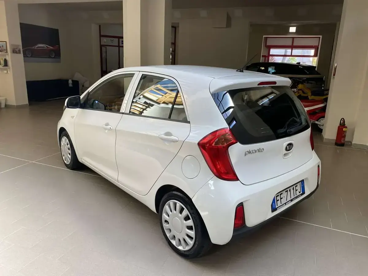 Usata Kia Picanto Active 65 CV (47 kW) 2016 Bianco Utilitaria