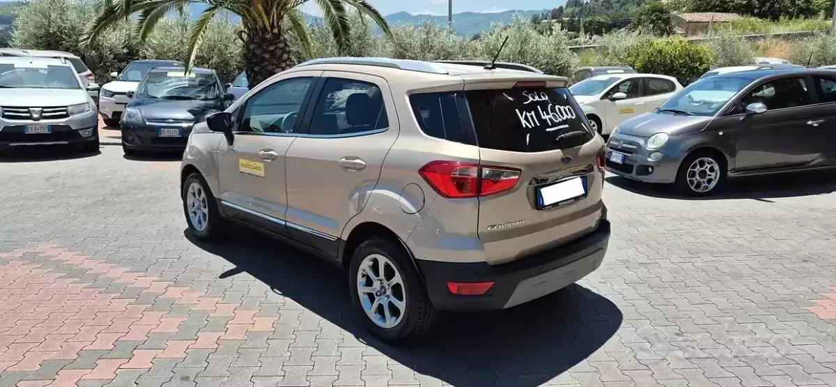 Usata Ford Ecosport 99 CV (72 kW) 2018 SUV