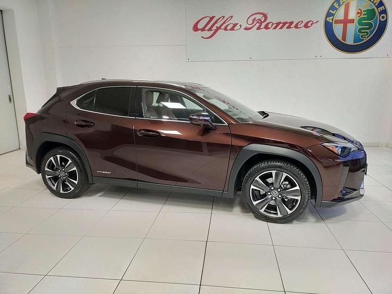 Usata Lexus UX 250h Luxury Line 184 CV (135 kW) 2021 Bronzo SUV