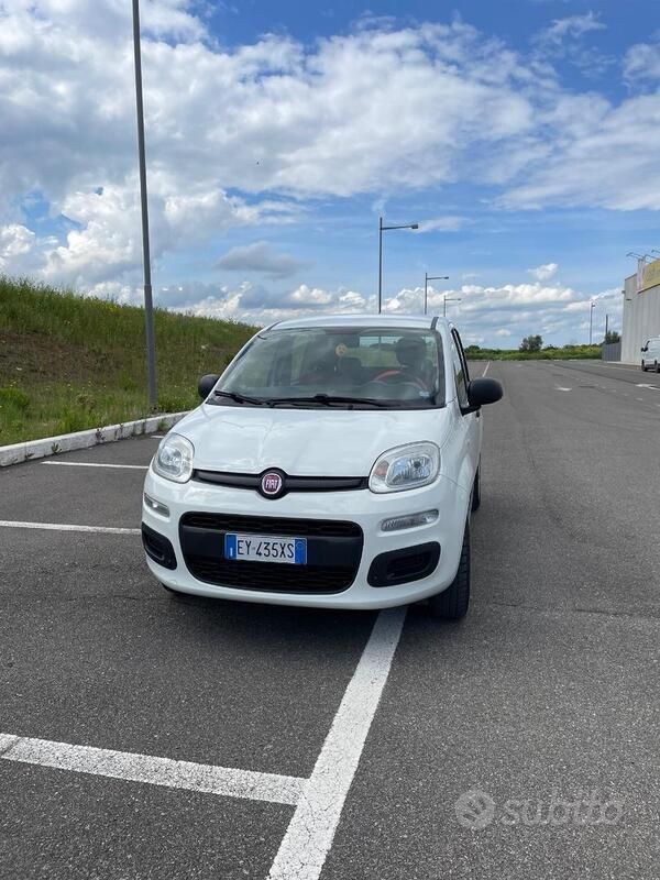 Usata Fiat Panda 70 CV (51 kW) 2015 Bianco Utilitaria