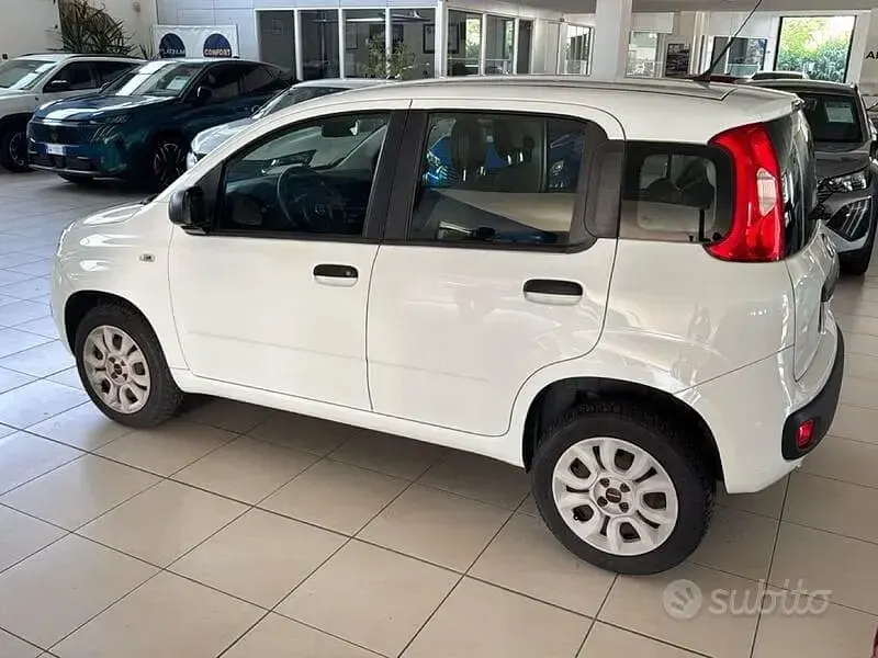 Usata Fiat Panda Easy 80 CV (58 kW) 2018 Bianco Utilitaria