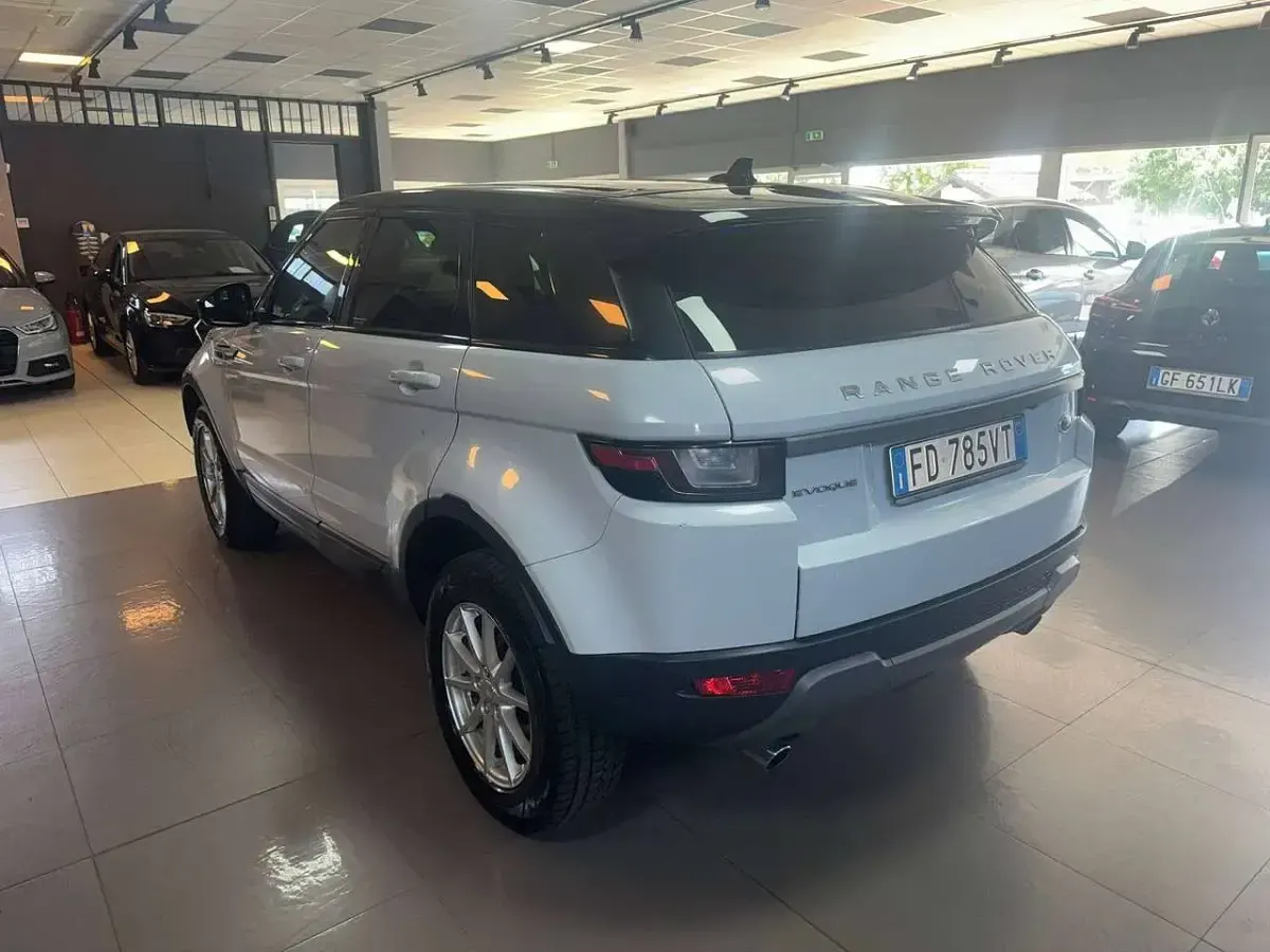 Usata Land Rover Range Rover evoque SE 150 CV (110 kW) 2016 Bianco SUV
