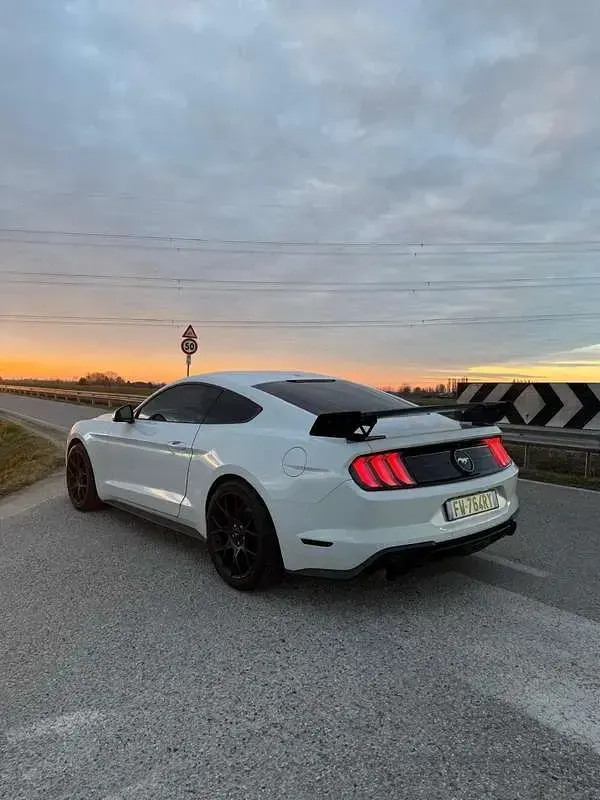 Usata Ford Mustang Fastback 290 CV (213 kW) 2019 Coupé
