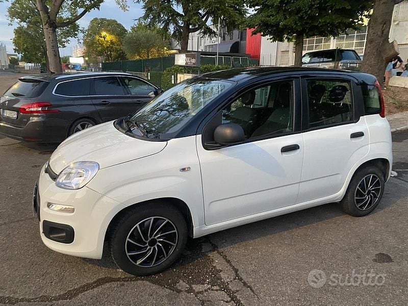 Usata Fiat Panda Easy 69 CV (50 kW) 2020 Bianco Berlina