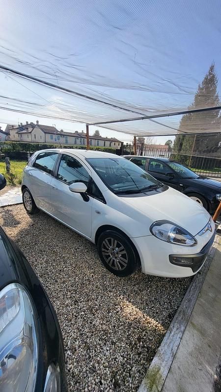 Usata Fiat Punto Lounge 75 CV (55 kW) 2013 Bianco Utilitaria