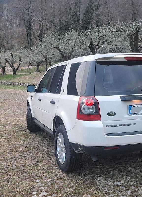 Usata Land Rover Freelander 2 2009 Bianco SUV