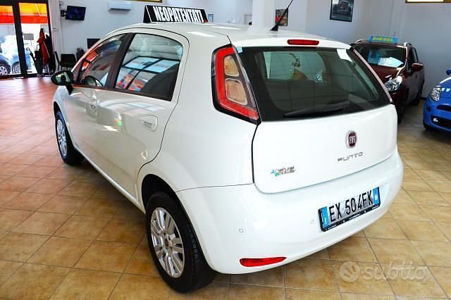 Usata Fiat Punto Lounge 77 CV (56 kW) 2014 Bianco Utilitaria