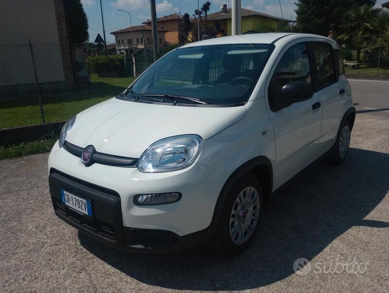 Usata Fiat Panda S 70 CV (51 kW) 2023 Bianco Utilitaria
