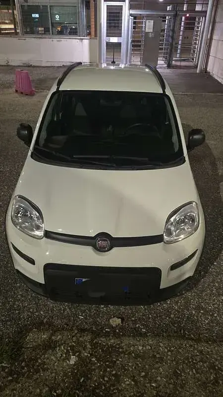 Usata Fiat Panda Cross Cross 69 CV (50 kW) 2022 Utilitaria