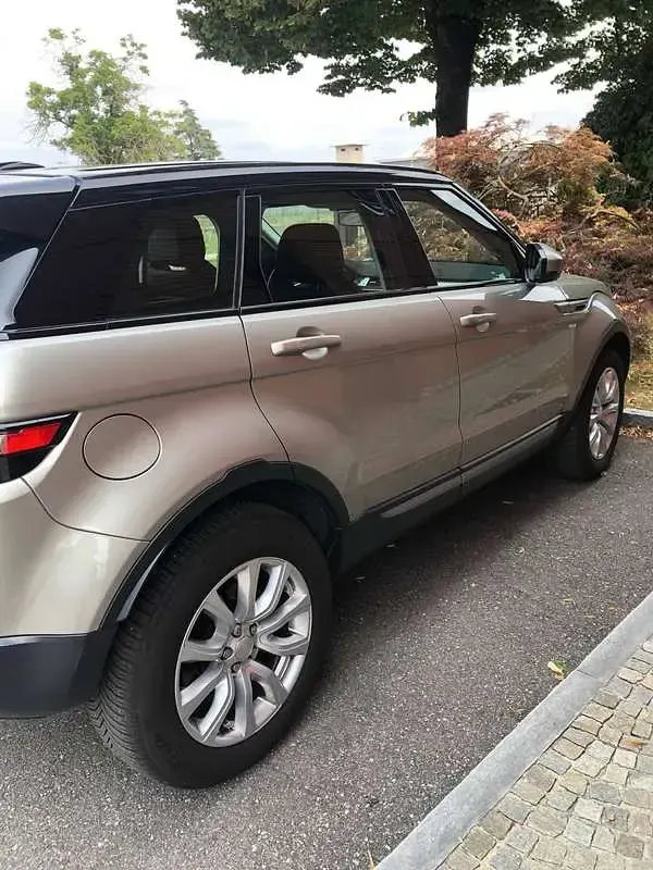 Usata Land Rover Range Rover evoque Pure 150 CV (110 kW) 2014 Oro SUV