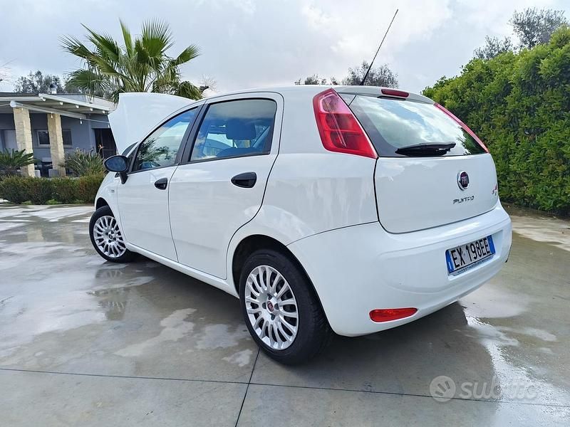 Usata Fiat Punto 75 CV (55 kW) 2015 Bianco Utilitaria