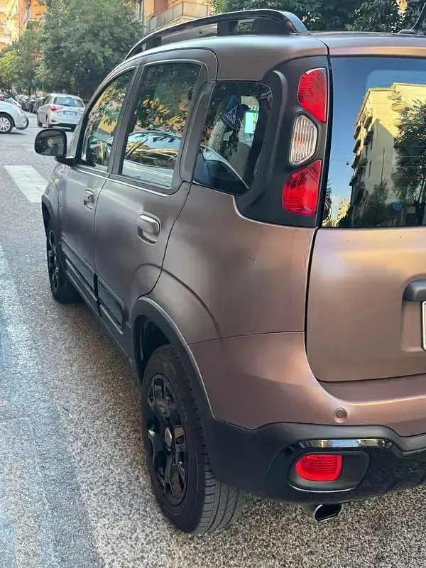 Usata Fiat Panda 4x4 S 86 CV (63 kW) 2020 Marrone Utilitaria
