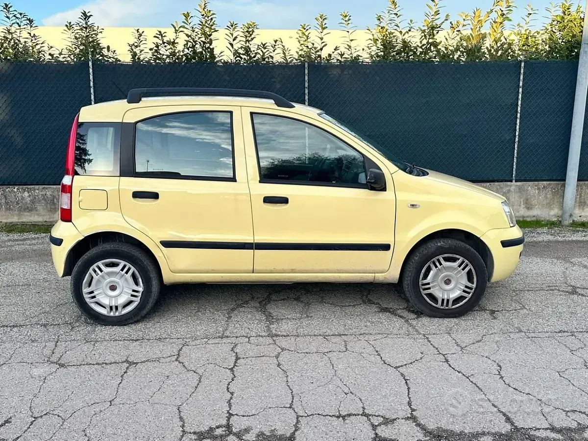 Usata Fiat Panda Dynamic 60 CV (44 kW) 2008 Giallo Utilitaria