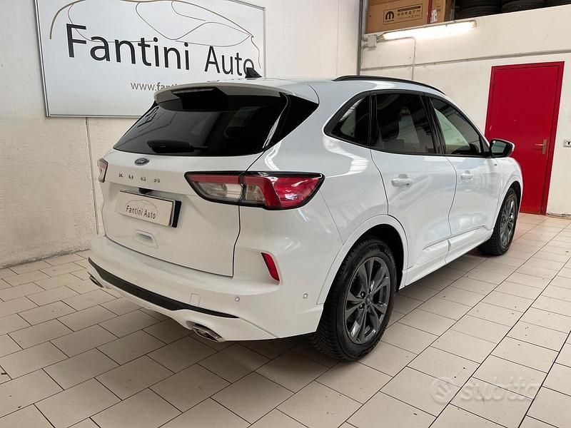 Usata Ford Kuga ST-Line X 120 CV (88 kW) 2023 Bianco SUV
